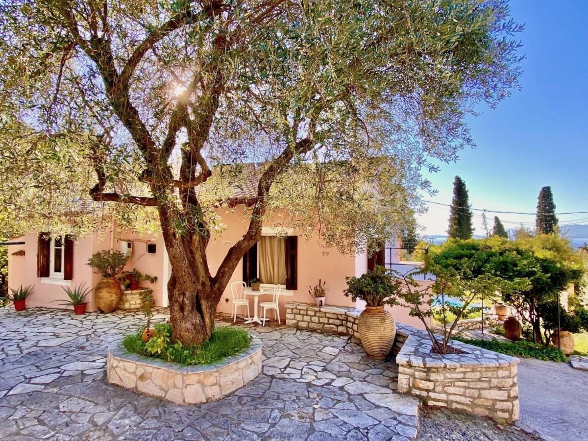 Villa Aliki Nissaki With Private Pool By Dadovillas Nisaki  Eksteriør billede